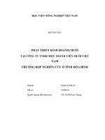 Phát triển kinh doanh muối tại công ty TNHH một thành viên muối việt nam trường hợp nghiên cứu ở tỉnh hòa bình 
