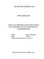 Quản lý huy động vốn tại ngân hàng thương mại cổ phần đầu tư và phát triển việt nam chi nhánh bắc ninh 