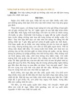 Tuong thuat lai nhung viec da lam trong ngay chunhat lop 5