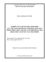 NGHIÊN cứu CHUYỂN hóa SINH KHỐI của VIỆT NAM THÀNH dầu SINH học BẰNG QUÁ TRÌNH NHIỆT PHÂN NHANH và HYDRODEOXY hóa (HDO) TRÊN cơ sở xúc tác MOLYBDEN 