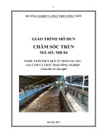 Giáo trình Chăm sóc trùn (Nghề: Nuôi trùn quế từ phân gia súc, gia cầm và chất thải nông nghiệp)