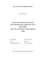 Quản lý huy động vốn tại ngân hàng thương mại cổ phần đầu tư và phát triển việt nam chi nhánh từ sơn, tỉnh bắc ninh 