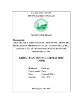 Khóa luận tốt nghiệp Đại học: Thực hiện quy trình chăm sóc, nuôi dưỡng, phòng trị bệnh cho lợn nái sinh sản và lợn con theo mẹ tại trại lợn Bảy Tuân, xã Tiên Phương, huyện Chương