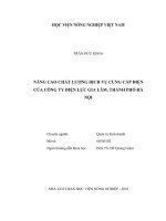 Nâng cao chất lượng dịch vụ cung cấp điện của công ty điện lực gia lâm, thành phố hà nội 