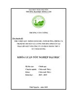 Khóa luận tốt nghiệp Đại học: Thực hiện quy trình chăm sóc, nuôi dưỡng, phòng và trị bệnh cho đàn gà Lương Phượng sinh sản tại trại liên kết với công ty cổ phần thuốc thú y SVT