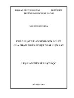 Luận án Tiến sĩ Luật học: Pháp luật về an ninh con người của phạm nhân ở Việt Nam hiện nay