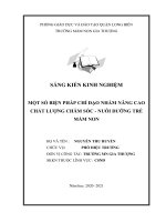 Một số biện pháp chỉ đạo nhằm nâng cao chất lượng chăm sóc, nuôi dưỡng trẻ tại trường mầm non Phương Trung II - SKKN