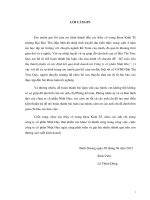 Kế toán tiêu thụ thành phẩm và xác định kết quả kinh doanh tại công ty cổ phần nhật huy 