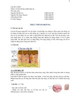 Bài thảo luận nhóm thực phẩm đẹp da 