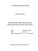 Giải pháp phát triển chăn nuôi trâu trên địa bàn huyện vị xuyên, tỉnh hà giang 