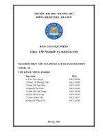 Báo cáo thực tập nghiệp vụ khách sạn tại FLAMINGO CAT BA BEACH RESORT