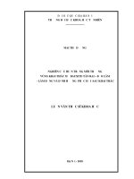Nghiên cứu hiện trạng môi trường vùng khai thác mỏ bauxite tân rai bảo lâm lâm đồng và định hướng phục hồi sau khai thác 