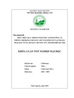 Khoá Luận tốt nghiệp Đại học: Thực hiện quy trình chăm sóc nuôi dưỡng và phòng trị bệnh cho đàn lợn nái sinh sản tại trang trại Bảy Tuân huyện Chương Mỹ, thành phố Hà Nội