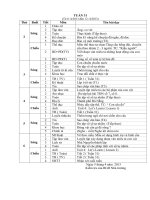 Chuong trinh khoi 4 Tuan 31