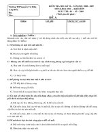 De thi Khoa hoc cuoi ky 2 lop 4