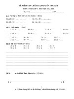 DE THI TOAN GKI LOP 3