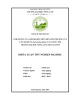 Khoá luận tốt nghiệp Đại học: Ảnh hưởng của chế độ bón phân đến sinh trưởng của cây Sói rừng (Sarcandra glabra) tại vườn ươm trường Đại học Nông lâm Thái Nguyên