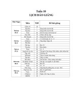 GIAO AN LOP 2B TUAN 8