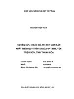 Luận văn thạc sĩ nghiên cứu chuỗi giá trị thịt lợn sản xuất theo quy trình VietGAHP tại huyện triệu sơn, tỉnh thanh hóa 