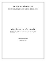 Báo cáo BTL Vật Lý 1  Vẽ quỹ đạo của electron trong điện từ trường tĩnh (Có code)