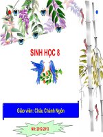 co quan phan tich thinh giac