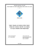 Tiểu luận thực trạng an ninh lương thực tỉnh sóc trăng trước tác động của quá trình xâm nhập mặn 