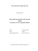 Luận văn thạc sĩ phát triển thị trường tiêu thụ sản phẩm tại công ty TY CP22   bộ quốc phòng 
