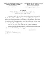 TO TRINH GIA NHAP DOAN TN DIA PHUONG