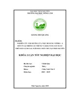 Khoá luận tốt nghiệp Đại học: Nghiên cứu ảnh hưởng của việc bổ sung Vitpro - s đến tỷ lệ nhiễm cầu trùng và khả năng sản xuất của gà Ri lai, nuôi bán chăn thả tại Thái Nguyên