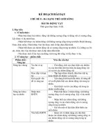 Giáo án khoa học tự nhiên 6 THCS bộ chân trời sáng tạo  Bài 38 Động vật chủ đề 8