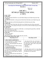 Trọn bộ giáo án Mĩ thuật lớp 2 sách Kết nối tri thức với cuộc sống