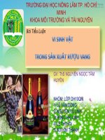 ung dung vi sinh vat trong san xuat ruou vang