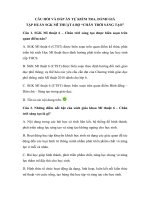 Ngân hàng câu hỏi tập huấn Mĩ thuật lớp 6 sách Chân trời sáng tạo