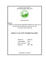 Khoá luận tốt nghiệp Đại học: Nghiên cứu một số đặc điểm dịch tễ bệnh giun thực quản ở chó tại huyện Đồng Hỷ, tỉnh Thái Nguyên và sử dụng thuốc điều trị