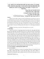 CÁC NHÂN TỐ ẢNH HƯỞNG ĐẾN SỰ HÀI LÒNG CỦA SINHVIÊN TRƯỜNG ĐẠI HỌC NGÂN HÀNG THÀNH PHỐ HỒ CHÍ MINH VỀ CHẤT LƯỢNG ĐÀO TẠO TRỰC TUYẾN CỦA TRƯỜNG ĐẠI HỌC NGÂN HÀNG
