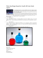 Phan ung BriggsRauscher chuyen doi mau thuan nghich