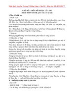 Giao an mi thuat 1 ca nam canh dieu hay 