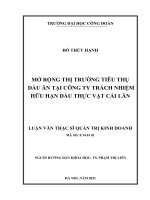 Mở rộng thị trường tiêu thụ dầu ăn tại công ty trách nhiệm hữu hạn dầu thực vật cái lân 