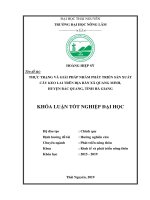 Khoá luận Tốt nghiệp Đại học: Thực trạng và giải pháp phát triển sản xuất cây keo lai trên địa bàn xã Quang Minh – huyện Bắc Quang – tỉnh Hà Giang