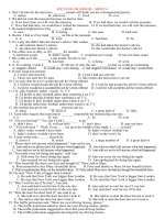 focus on grammar sheet 4