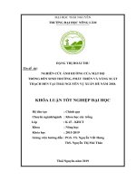 Khoá luận Tốt nghiệp Đại học: Nghiên cứu ảnh hưởng của mật độ trồng đến sinh trưởng, phát triển và năng suất Thạch đen tại Thái Nguyên vụ Xuân Hè năm 2018