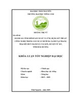 Khoá luận Tốt nghiệp Đại học: Đánh giá tình hình sản xuất và ứng dụng kỹ thuật công nghệ trong sản xuất bưởi Da Xanh tại trang trại Bùi Huy Hạnh xã Tái Sơn, huyện Tứ Kỳ, Tỉnh Hải