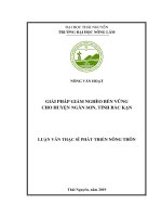 Luận văn Thạc sĩ Phát triển nông thôn: Giảm nghèo bền vững cho Ngân Sơn, tỉnh Bắc Kạn
