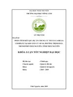 Khoá luận Tốt nghiệp Đại học: Phân tích kết quả Dự án chung cư Tecco Camelia Complex tại Khu dân cư số 10, phường Thịnh Đán, Thành phố Thái Nguyên, tỉnh Thái Nguyên