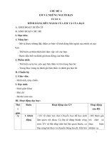 Giáo án hoạt động trải nghiệm cả năm sách chân trời sáng tạo 