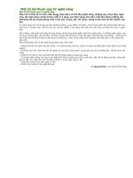 Mot so bai thuoc quy tu cay nghe vang