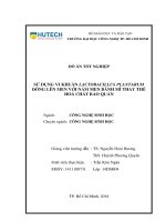 Sử dụng vi khuẩn lactobacillus plantarum đồng lên men với nấm men bánh mì thay thế hóa chất bảo quản 