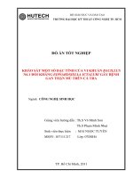 Khảo sát một số đặc tính của vi khuẩn bacillus n6 1 đối kháng edwardsiella ictaluri gây bệnh gan thận mủ trên cá tra 