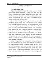 Xác định các thông số động học sinh học phục vụ các xử lý nước thải của cơ sở sản xuất nước tương lam thuật trên mô hình bùn hoạt tính 