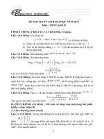 Giai de thi Toan Khoi D nam 2013